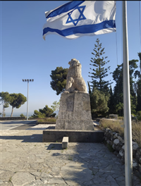 ברק לוטן