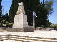ברק לוטן